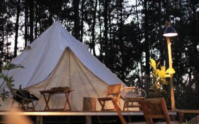 Knowledge Share: What do I need to do to make my holiday let safe?